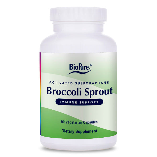 Broccoli Sprout-Wholesale