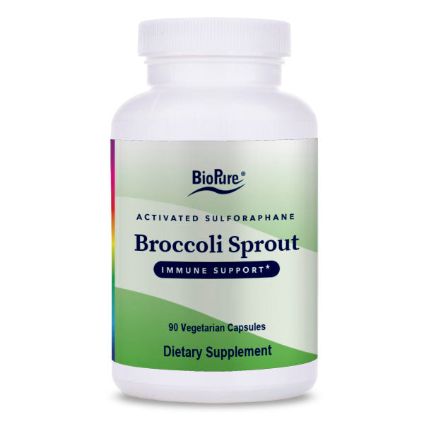 Broccoli Sprout-Wholesale