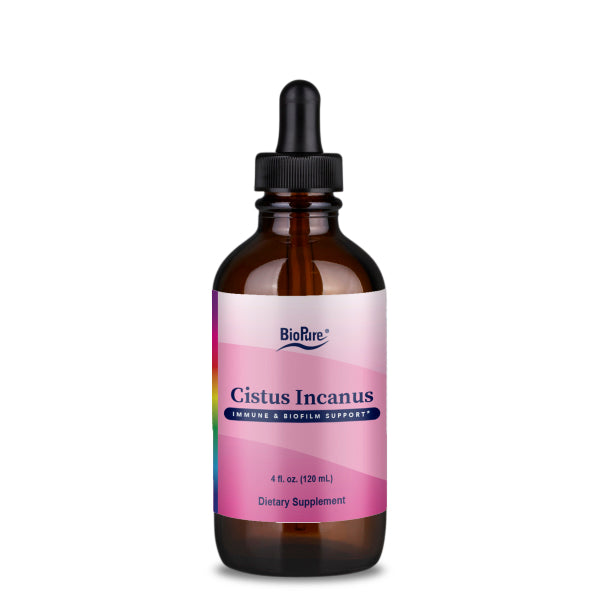 Cistus Incanus