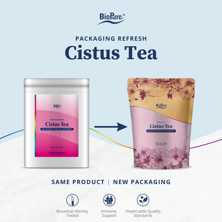 Cistus Tea-Wholesale
