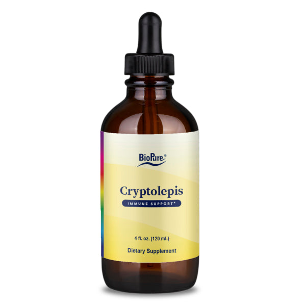 Cryptolepis